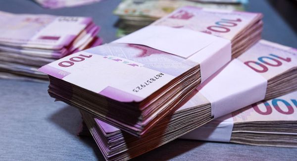 issizlikden-sigorta-odenisi-alan-530-nefere-hesablanmis-orta-ayliq-mebleg-256-4-manat-olub
