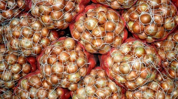 azerbaycanda-sogan-uzre-de-assosiasiya-yaradilacaq