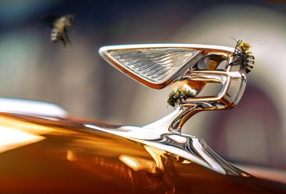 porsche-nin-ardindan-bentley-nin-de-eli-bala-batacaq