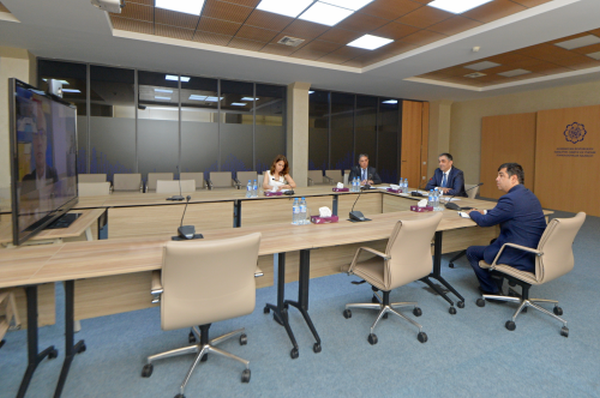 ramin-quluzade-ayib-numayendeleri-ile-videokonfrans-formatinda-gorusub