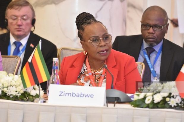 zimbabvede-qadinlar-banki-tesis-edilib