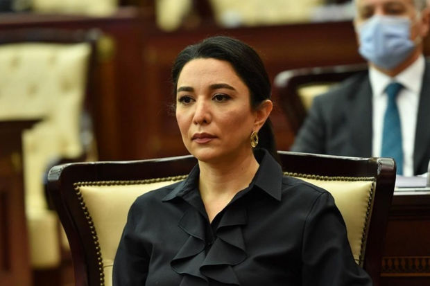 ombudsman-ermenistan-azad-olunmus-erazilerimizi-yeniden-minalarla-cirklendirir
