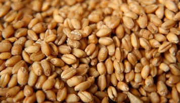 azerbaycan-bugda-idxalinda-boyuk-artim